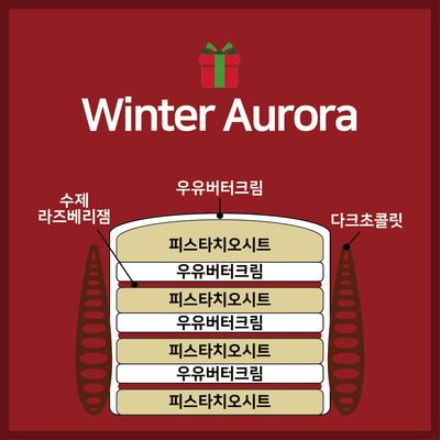Winter Aurora 3